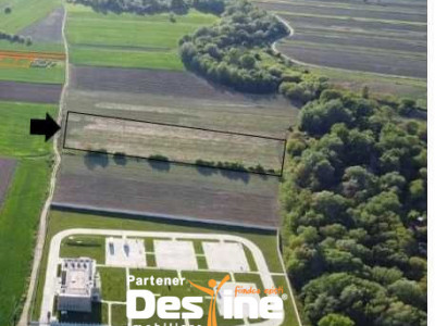 Teren intravilan 7567mp, certificat de urbanism, Magurele