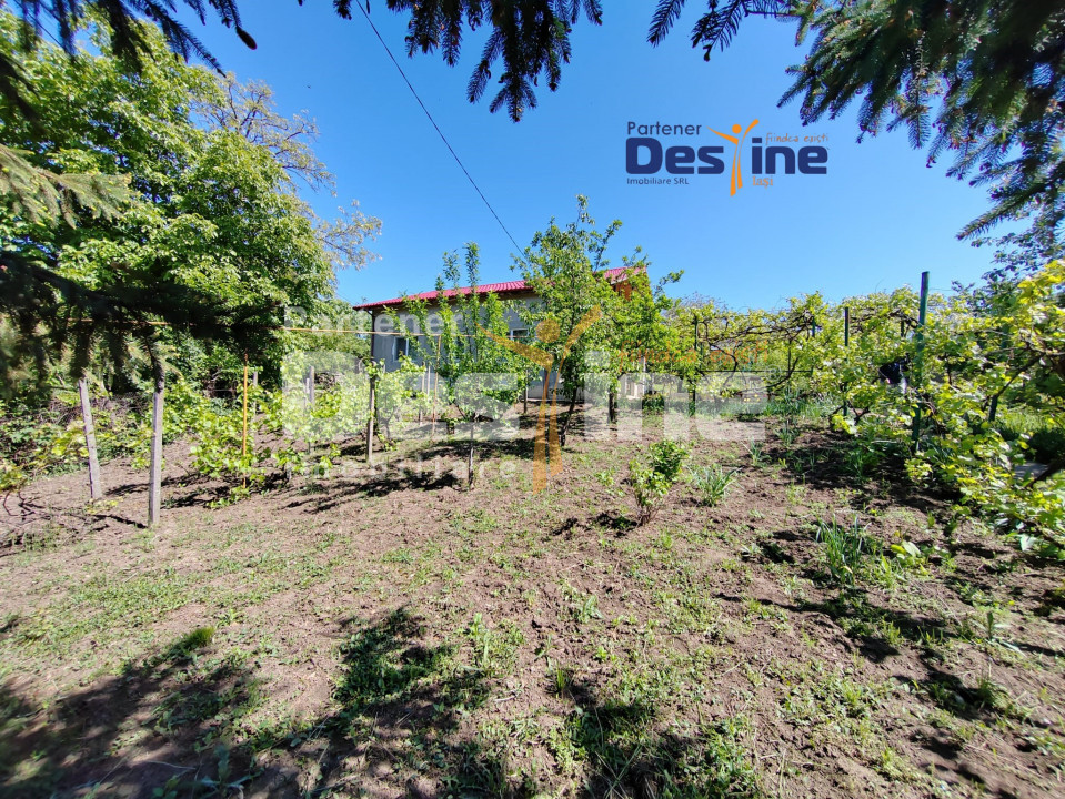 Casă individuală P+M, 164 mp utili + 1062 mp teren, COPOU