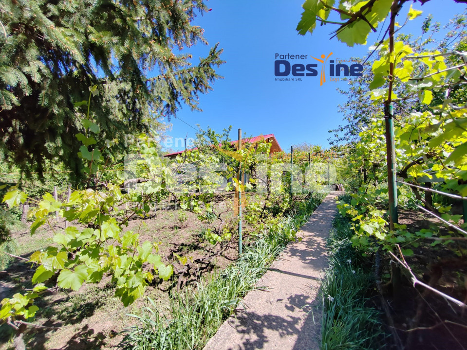 Casă individuală P+M, 164 mp utili + 1062 mp teren, COPOU