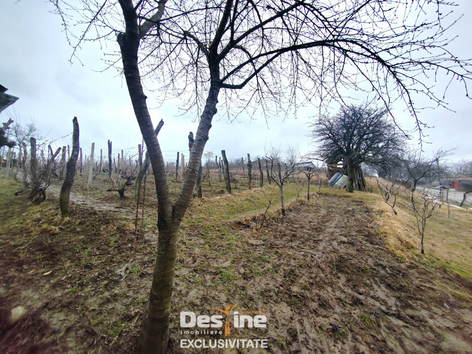 COMISION 0% MOGOSESTI, IASI - Casă individuală 85mp + 2428 mp teren