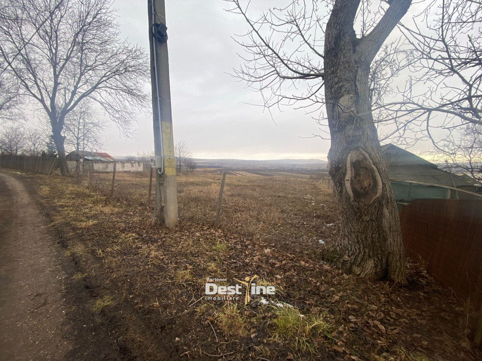 Teren de vanzare Gura Vaii 27.500 Euro 7639MP