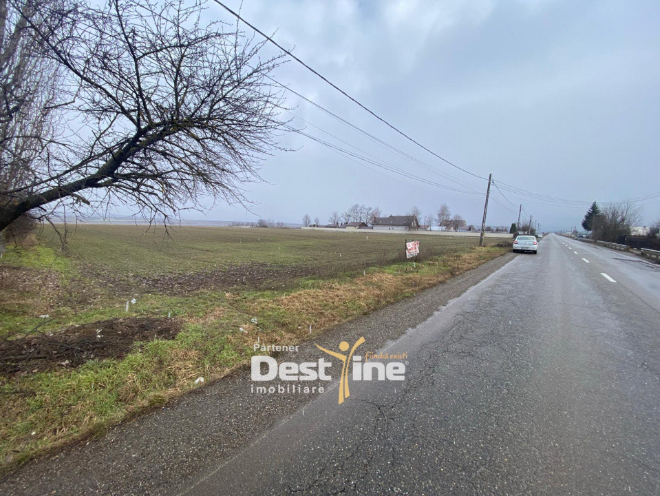 Teren de vanzare Girov- Doina 7200MP 140000