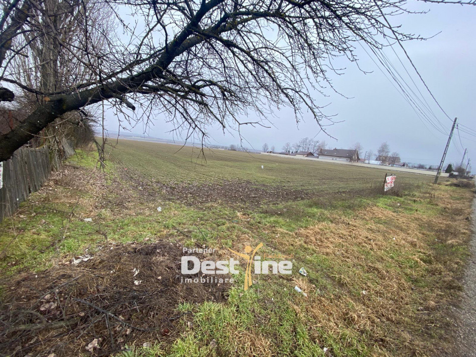 Teren de vanzare Girov- Doina 7200MP 140000