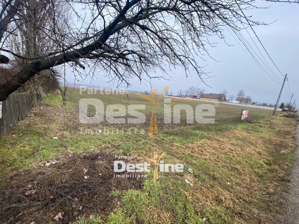 Teren de vanzare Girov- Doina 7200MP 140000