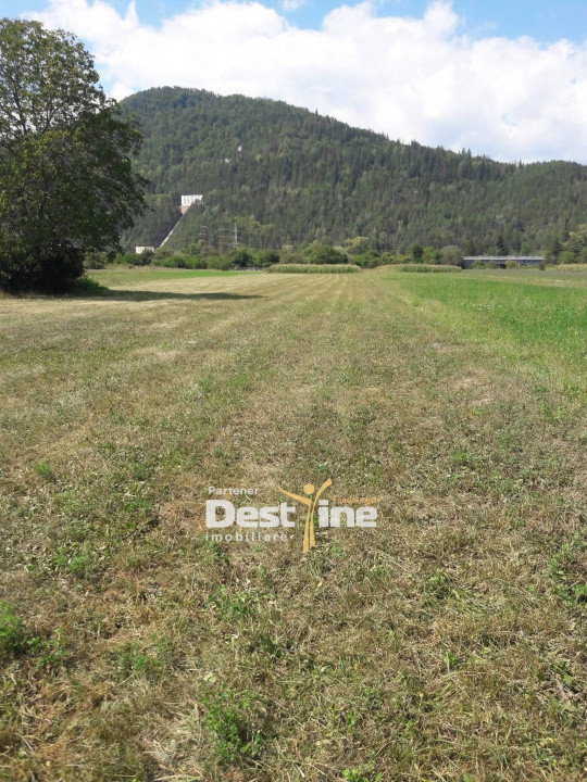 Teren de vanzare Pangarati 58.500 Euro 4488mp Intravilan