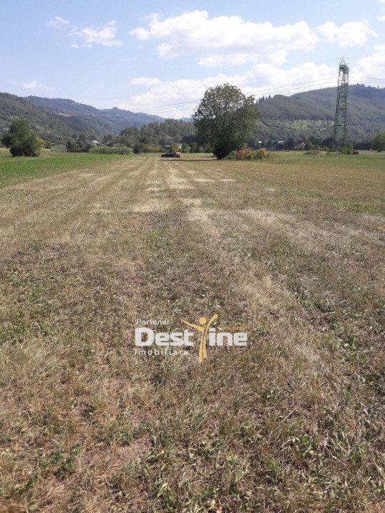 Teren de vanzare Pangarati 58.500 Euro 4488mp Intravilan