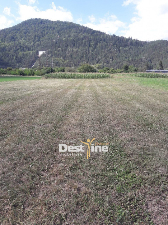 Teren de vanzare Pangarati 58.500 Euro 4488mp Intravilan