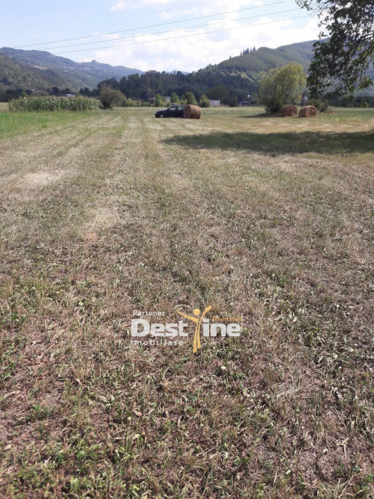 Teren de vanzare Pangarati 58.500 Euro 4488mp Intravilan