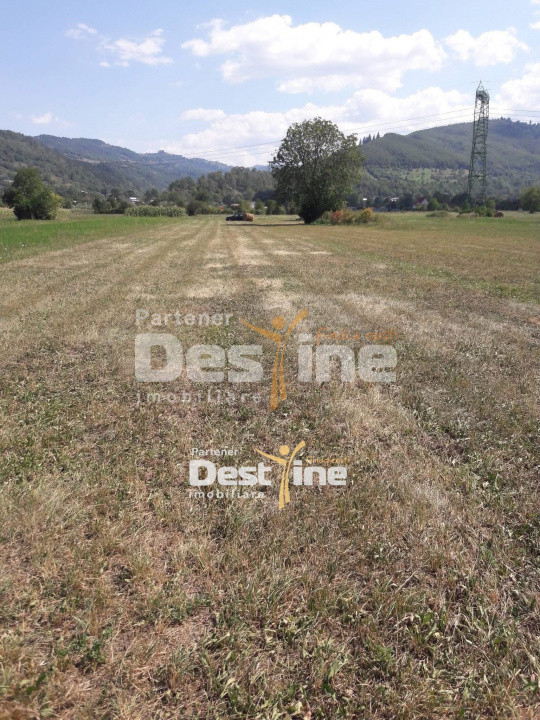 Teren de vanzare Pangarati 58.500 Euro 4488mp Intravilan