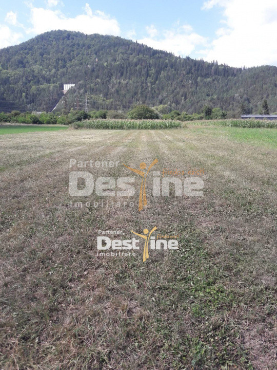 Teren de vanzare Pangarati 58.500 Euro 4488mp Intravilan