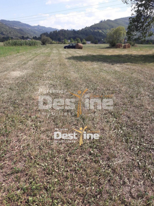 Teren de vanzare Pangarati 58.500 Euro 4488mp Intravilan