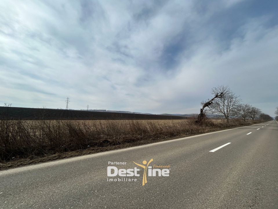 Teren de vanzare Caciulesti 10.000 Euro 1300mp