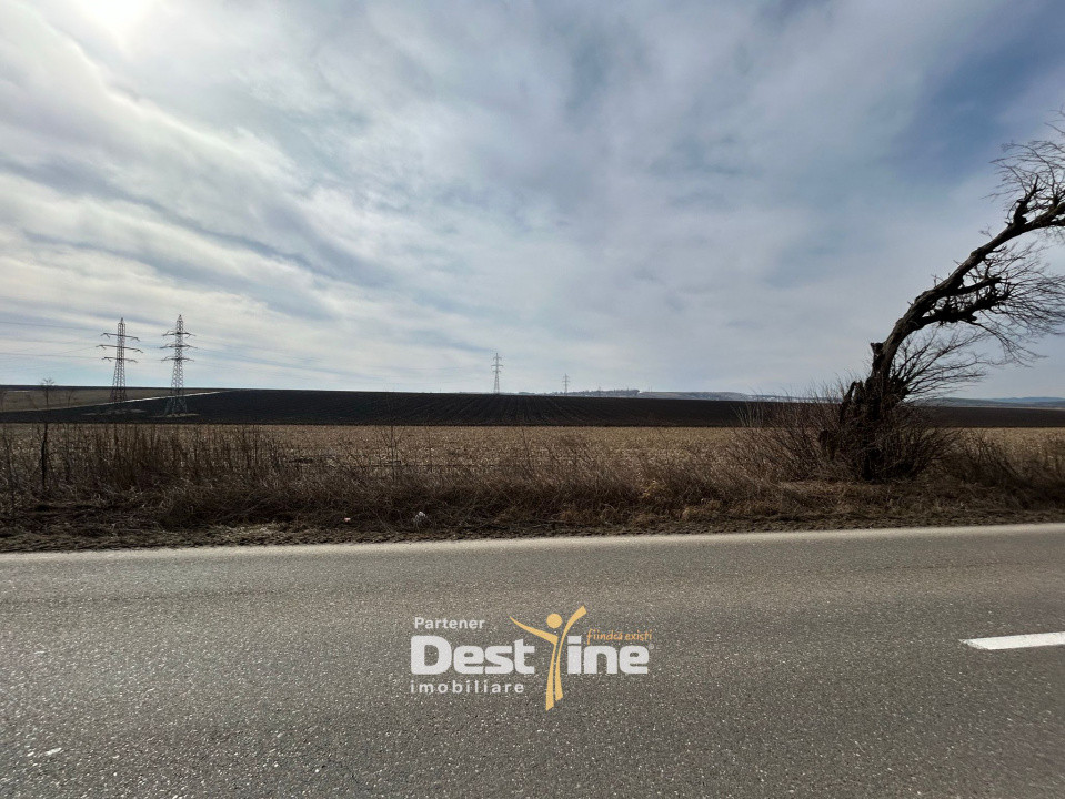 Teren de vanzare Caciulesti 10.000 Euro 1300mp