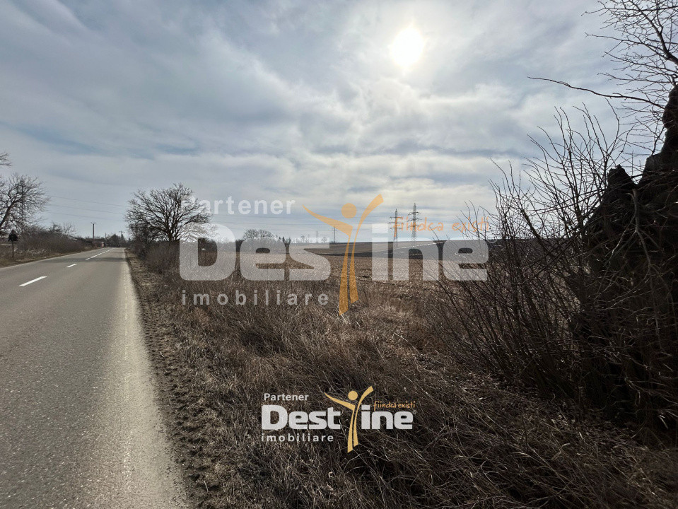 Teren de vanzare Caciulesti 10.000 Euro 1300mp