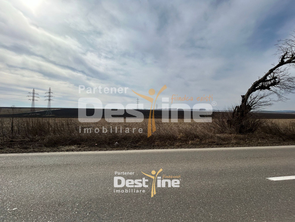 Teren de vanzare Caciulesti 10.000 Euro 1300mp