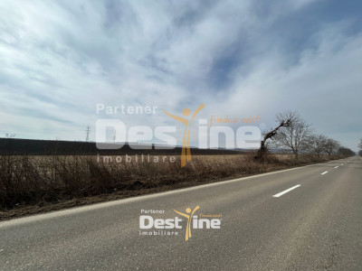 Teren de vanzare Caciulesti 10.000 Euro 1300mp