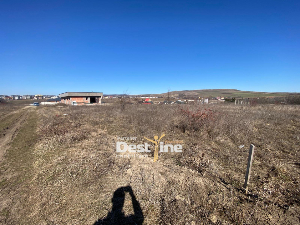 Loturi de Teren Fermelor Strada Plantelor 