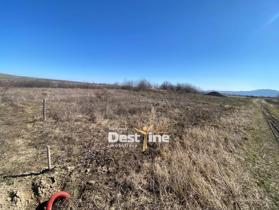 Loturi de Teren Fermelor Strada Plantelor 