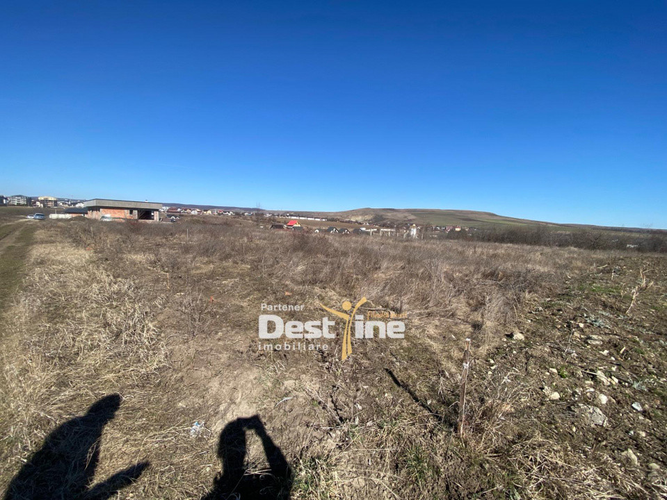 Loturi de Teren Fermelor Strada Plantelor 