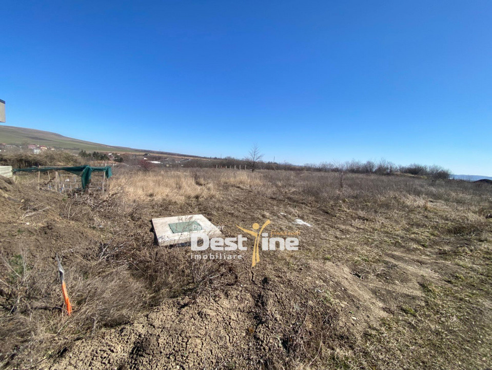 Loturi de Teren Fermelor Strada Plantelor 