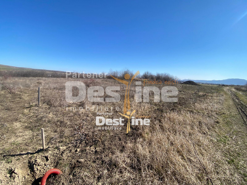 Loturi de Teren Fermelor Strada Plantelor 