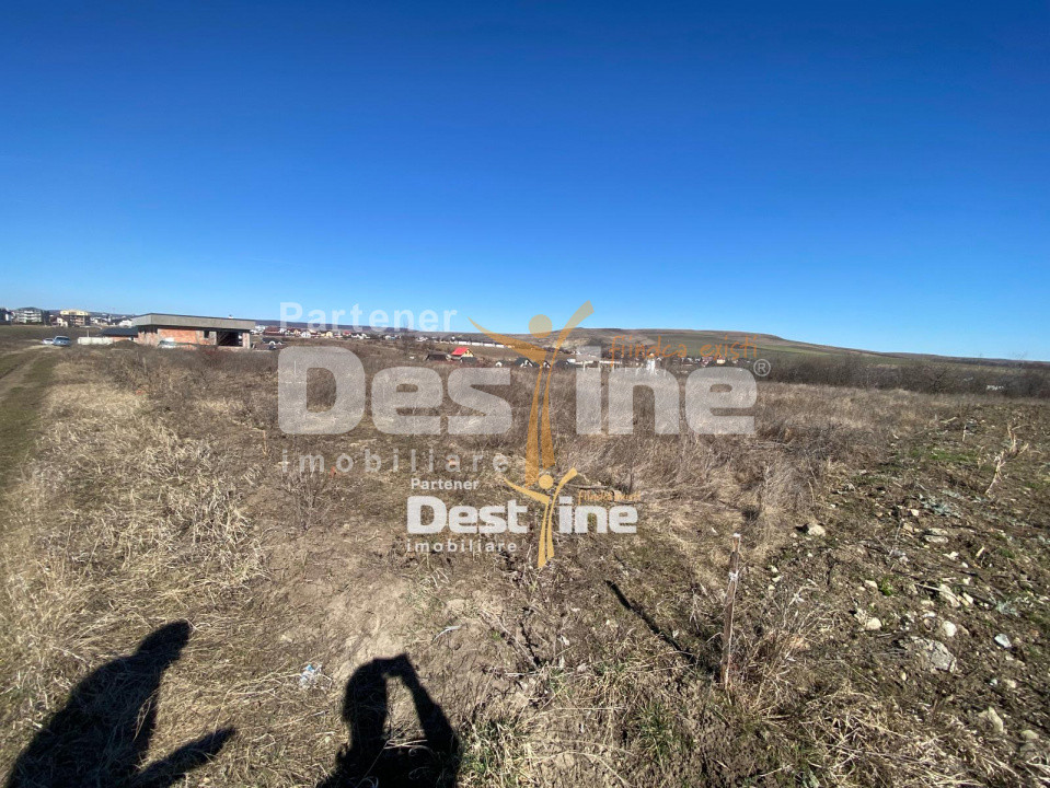 Loturi de Teren Fermelor Strada Plantelor 