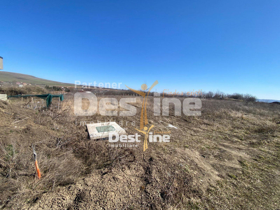 Loturi de Teren Fermelor Strada Plantelor 