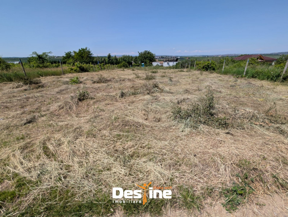 Bârnova - Teren Intravilan 974 Mp, utilitati, drum betonat