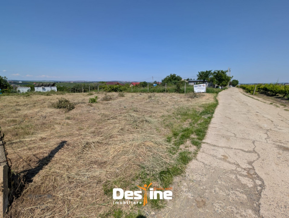 Bârnova - Teren Intravilan 974 Mp, utilitati, drum betonat