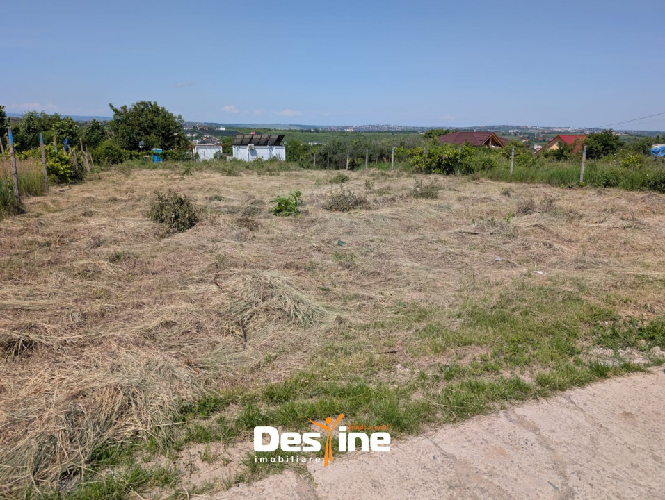 Bârnova - Teren Intravilan 974 Mp, utilitati, drum betonat