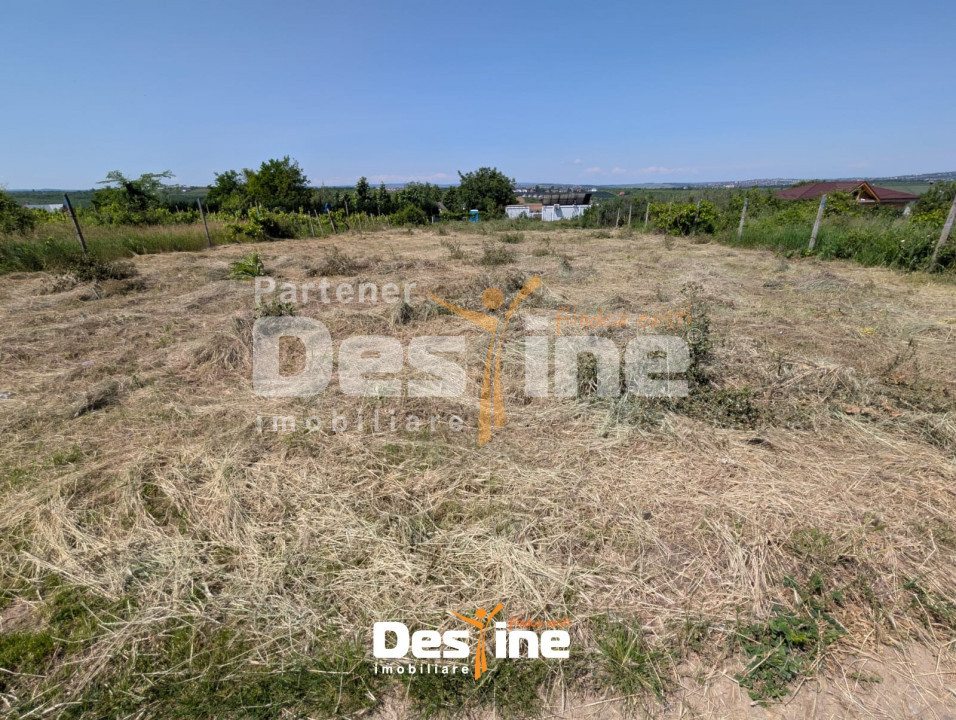 Bârnova - Teren Intravilan 974 Mp, utilitati, drum betonat