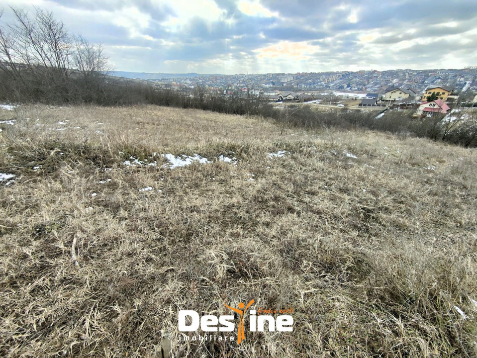 Copou - Viticultori 3 parcele teren intravilan 1417 mp + PUZ