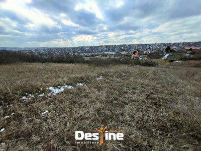 Copou - Viticultori 3 parcele teren intravilan 1417 mp + PUZ