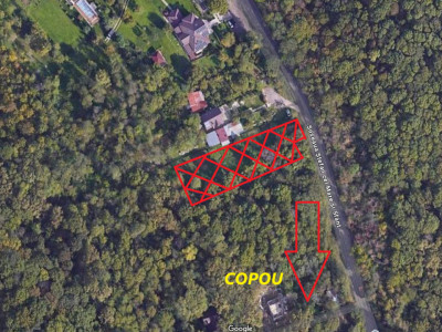 Copou - Teren intravilan 1853 mp PUZ in lucru 3 locuinte
