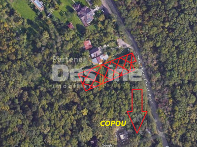 Copou - Teren intravilan 1853 mp PUZ in lucru 3 locuinte