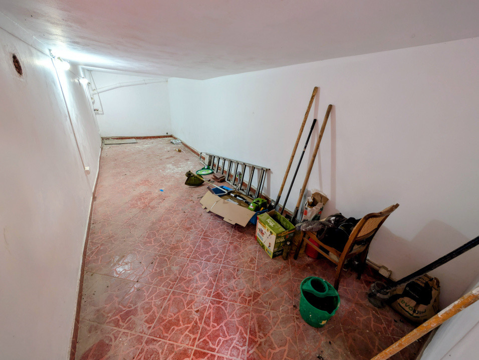 Ocazie - Casă P+M 196 mpt 5 camere 2 băi 1200 mp teren, liberă Horlești (Rediu)