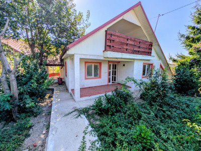 Ocazie - Casă P+M 196 mpt 5 camere 2 băi 1200 mp teren, liberă Horlești (Rediu)