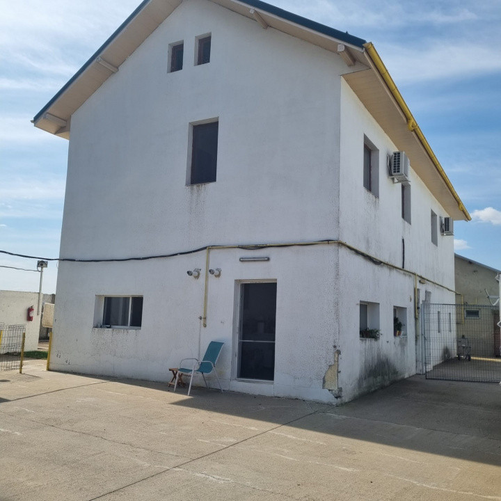 AFACERE LA CHEIE FERMA DE PORCI