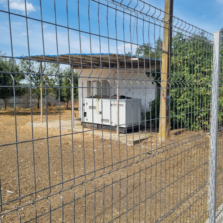 AFACERE LA CHEIE FERMA DE PORCI