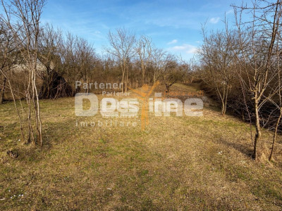 Teren INTRAVILAN, Copou, Viticultori, Iași 1451mp