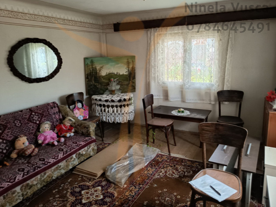 CASA  PITOREASCA DE VANZARE BRANESTI - DAMBOVITA