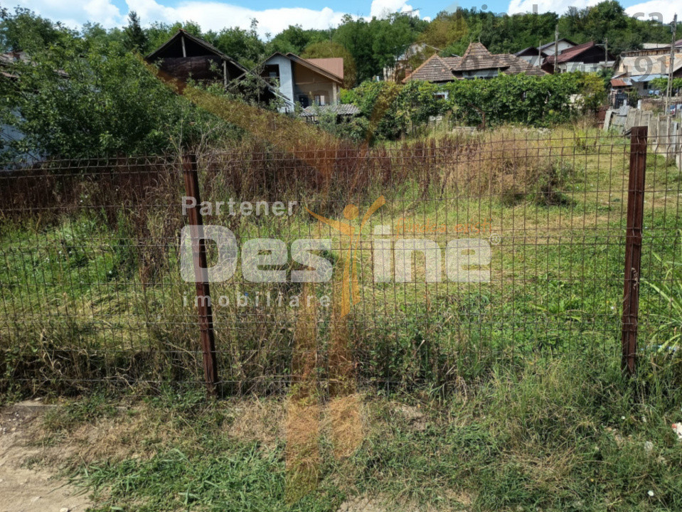 CASA  PITOREASCA DE VANZARE BRANESTI - DAMBOVITA