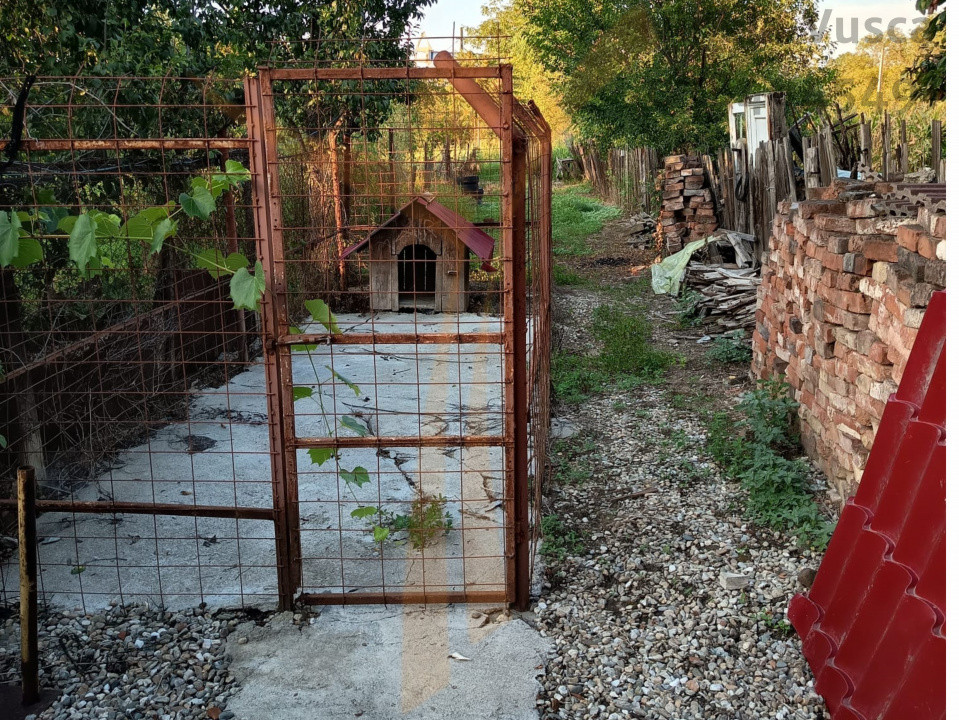 🏡 Casa ideală pentru familia ta – Valea Voievozilor, Răzvad