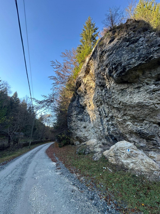 Teren 2.882 mp – oportunitate investitie - Cheile Dâmbovicioarei