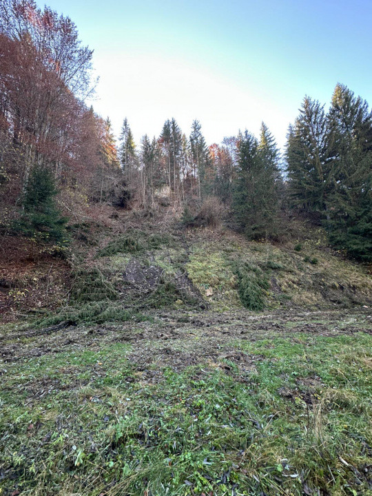 Teren 2.882 mp – oportunitate investitie - Cheile Dâmbovicioarei