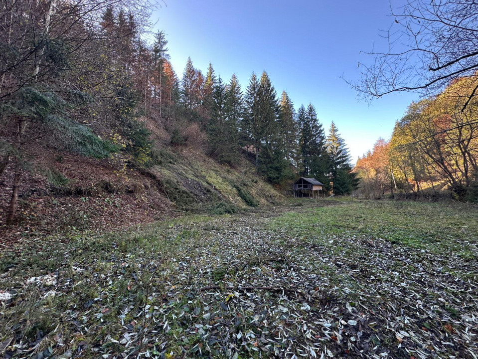 Teren 2.882 mp – oportunitate investitie - Cheile Dâmbovicioarei