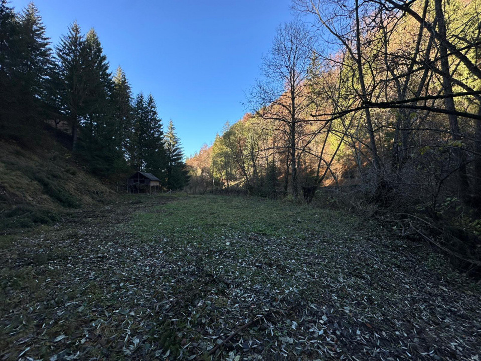 Teren 2.882 mp – oportunitate investitie - Cheile Dâmbovicioarei