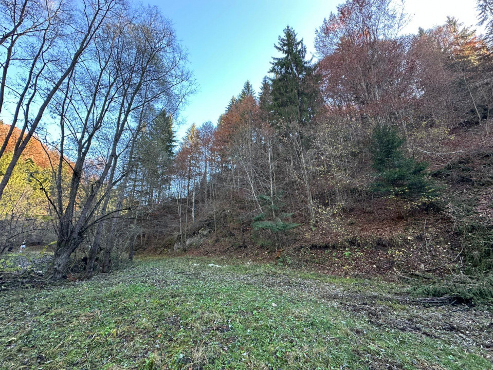 Teren 2.882 mp – oportunitate investitie - Cheile Dâmbovicioarei