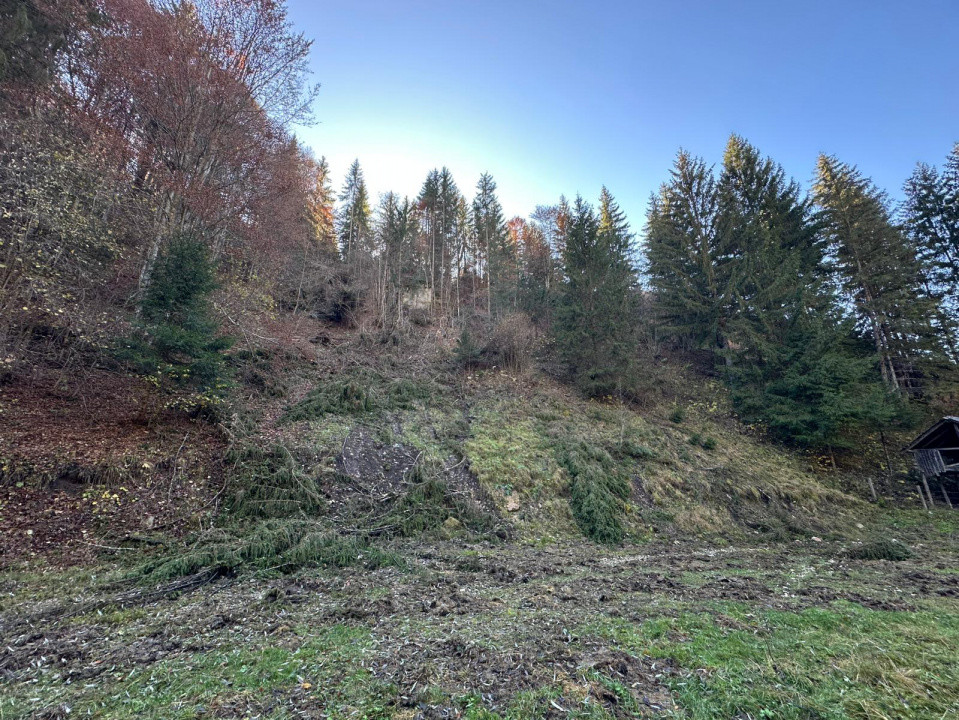 Teren 2.882 mp – oportunitate investitie - Cheile Dâmbovicioarei