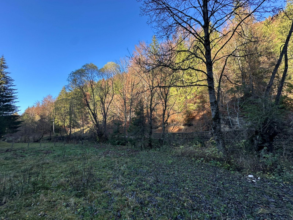 Teren 2.882 mp – oportunitate investitie - Cheile Dâmbovicioarei